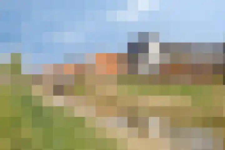 Zwanenbloem 45 Elst thumbnail 38
