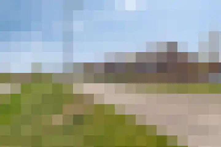 Zwanenbloem 45 Elst thumbnail 5