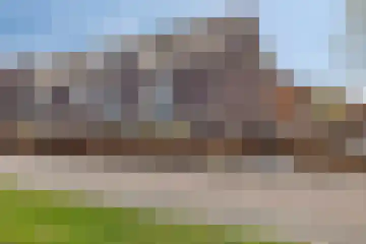 Zwanenbloem 45 Elst thumbnail 6