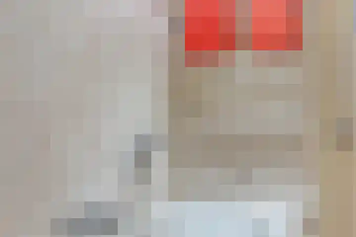 Zwanendreef 30 Aarle-Rixtel thumbnail 31