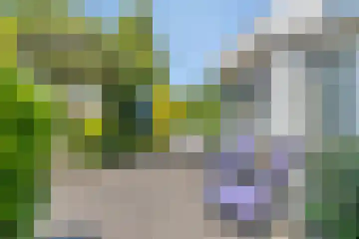 Zwanendreef 30 Aarle-Rixtel thumbnail 36