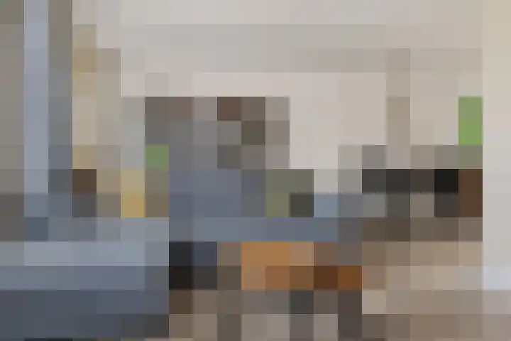 Zwanendrift 5 Delfzijl thumbnail 14