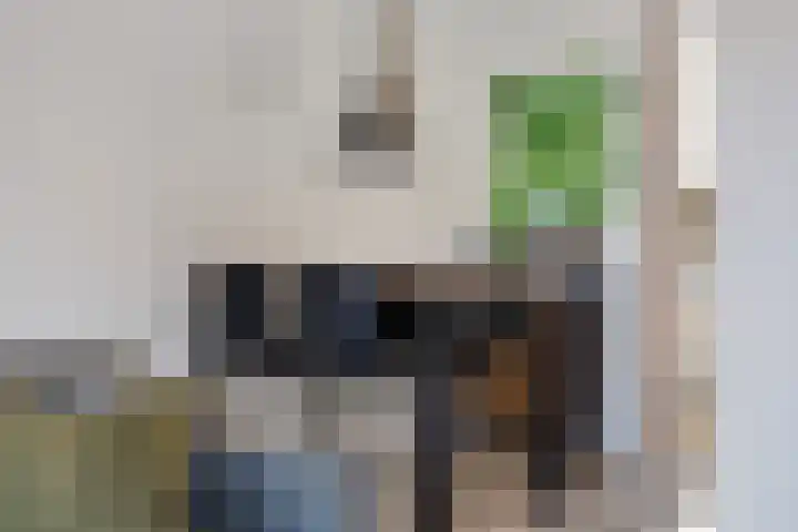 Zwanendrift 5 Delfzijl thumbnail 16