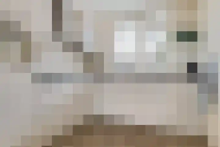 Zwanendrift 5 Delfzijl thumbnail 19