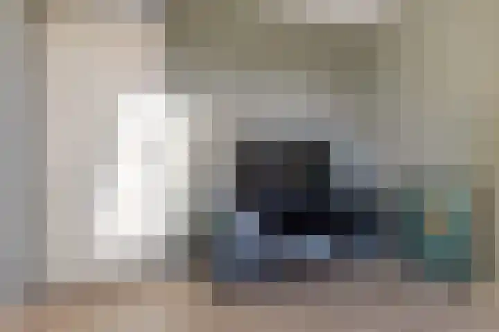 Zwanendrift 5 Delfzijl thumbnail 29