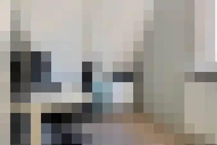 Zwanendrift 5 Delfzijl thumbnail 30