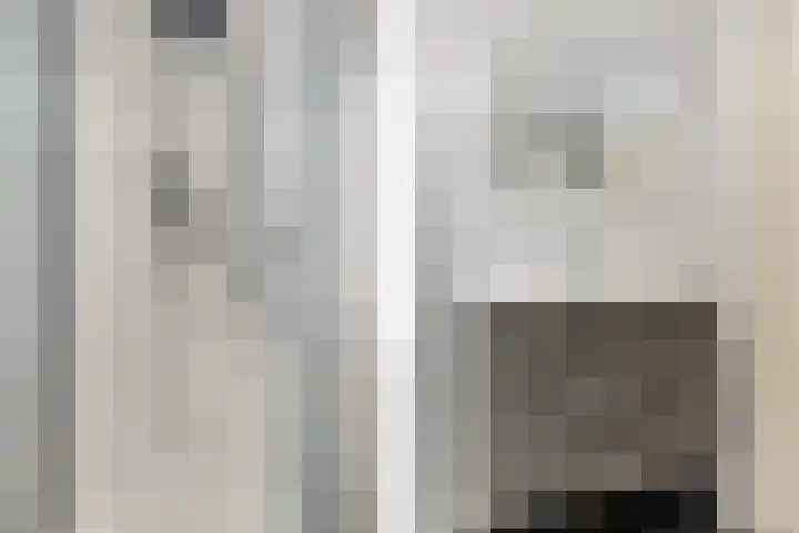 Zwanendrift 5 Delfzijl thumbnail 33