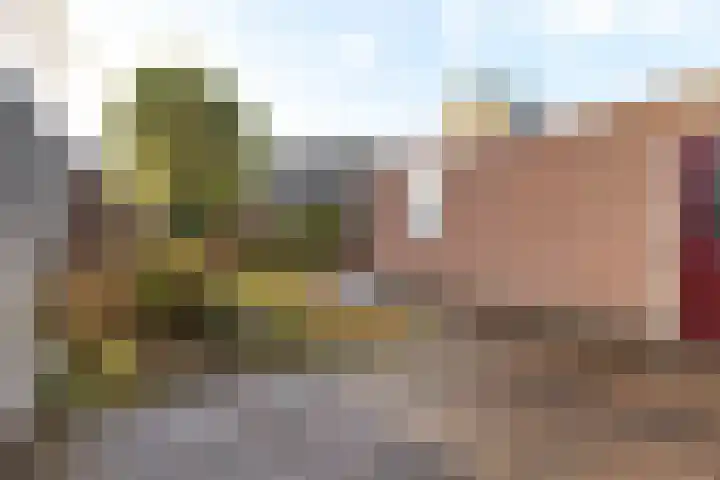 Zwanendrift 5 Delfzijl thumbnail 39