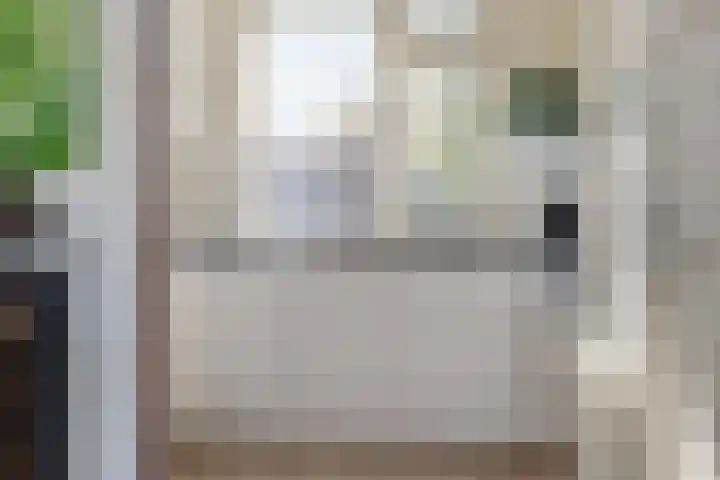 Zwanendrift 5 Delfzijl thumbnail 4