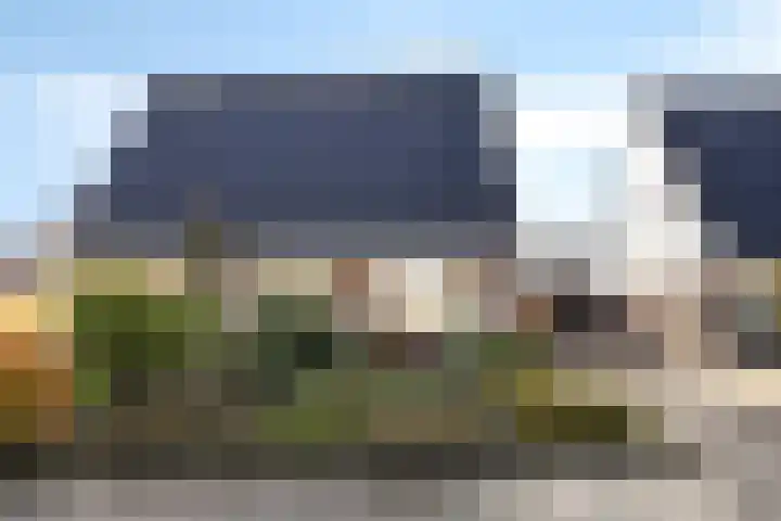 Zwanendrift 5 Delfzijl thumbnail 7