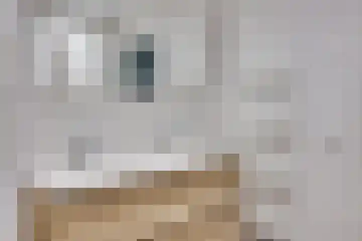 Zwanenkamp 39 Maarssen thumbnail 17