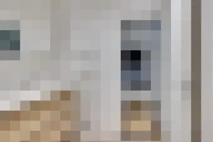 Zwanenkamp 39 Maarssen thumbnail 18