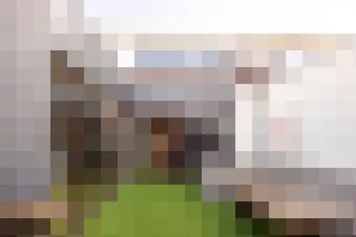 Zwanenkamp 39 Maarssen thumbnail 23