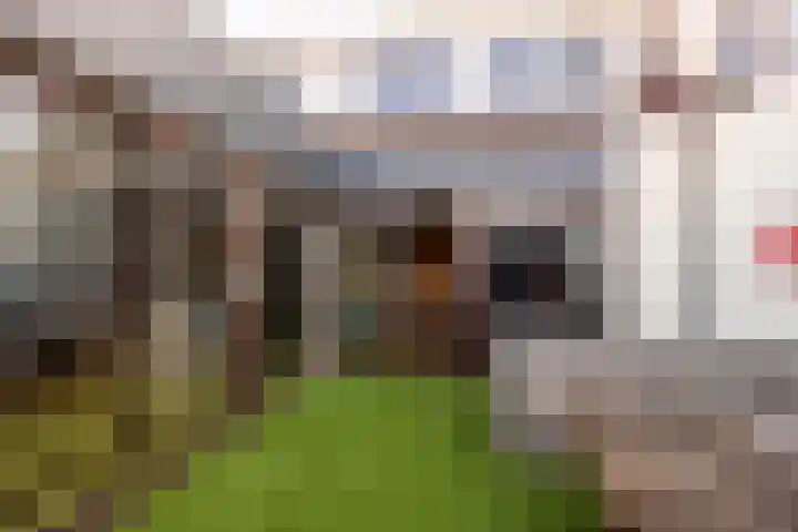 Zwanenkamp 39 Maarssen thumbnail 24