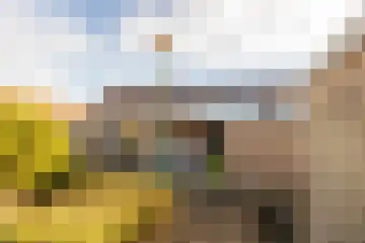 Zwanenkamp 39 Maarssen thumbnail 33
