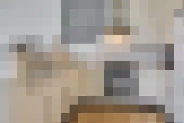 Zwanenkamp 39 Maarssen thumbnail 7