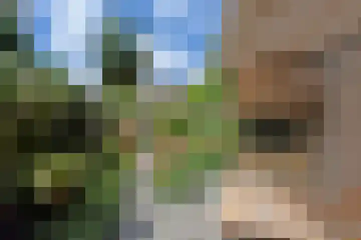 Zwanenlaan 5 Ter Aar thumbnail 16