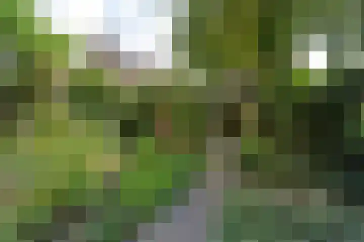 Zwanenlaan 5 Ter Aar thumbnail 17