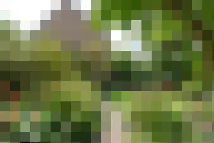 Zwanenlaan 5 Ter Aar thumbnail 22