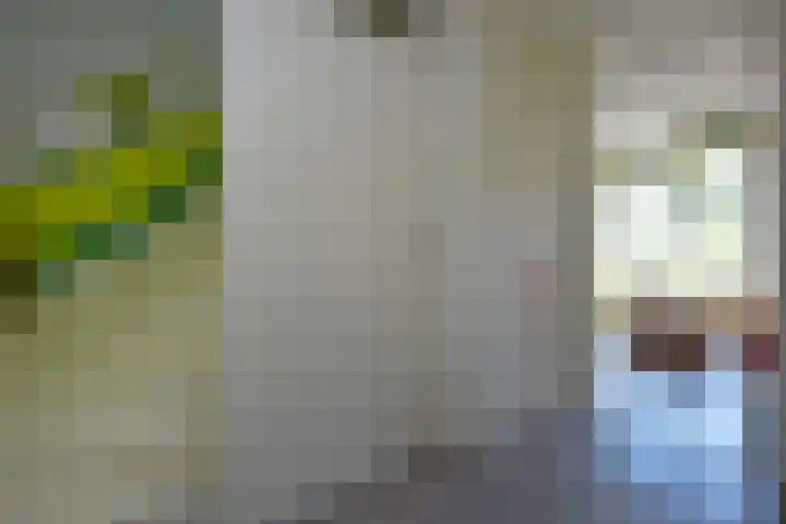 Zwanenlaan 5 Ter Aar thumbnail 33