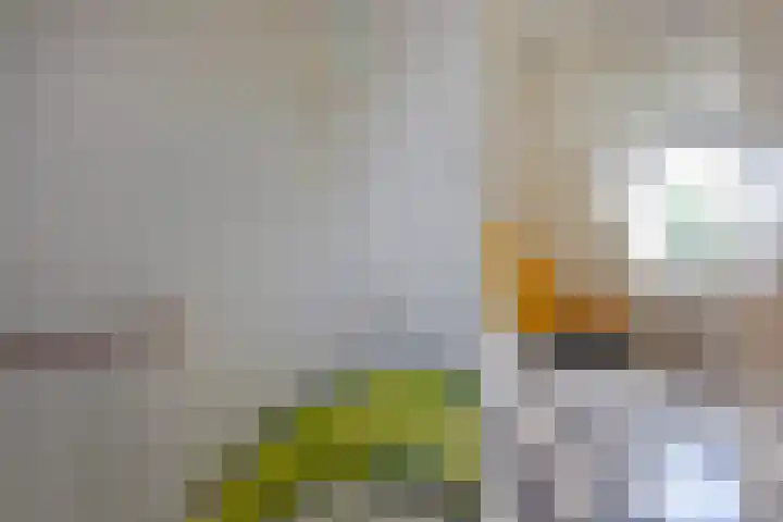 Zwanenlaan 5 Ter Aar thumbnail 34
