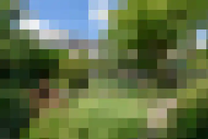 Zwanenlaan 5 Ter Aar thumbnail 4