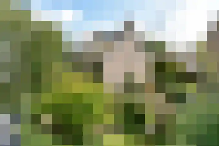 Zwanenlaan 5 Ter Aar thumbnail 43