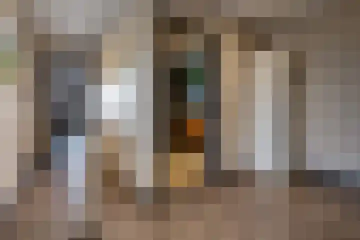 Zwanenpad 14 Delft thumbnail 24