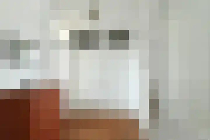 Zwanensingel 196 Velp thumbnail 11