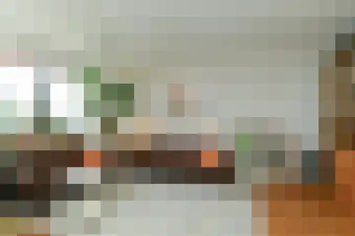 Zwanensingel 196 Velp thumbnail 14