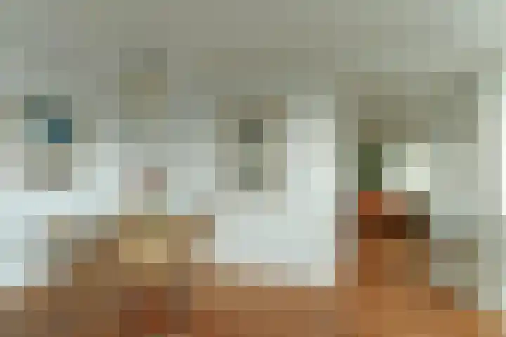 Zwanensingel 196 Velp thumbnail 17