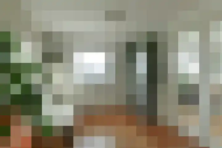 Zwanensingel 196 Velp thumbnail 20