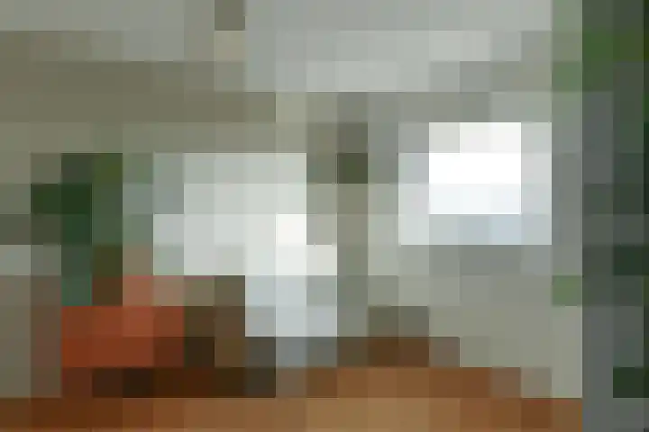 Zwanensingel 196 Velp thumbnail 21