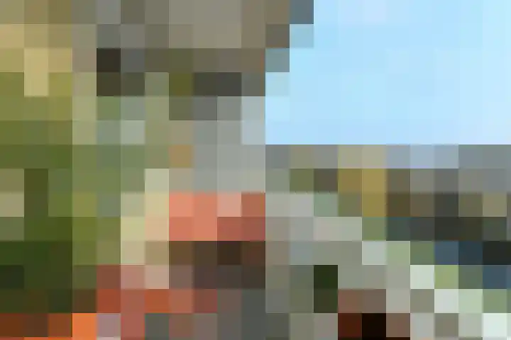 Zwanensingel 196 Velp thumbnail 22