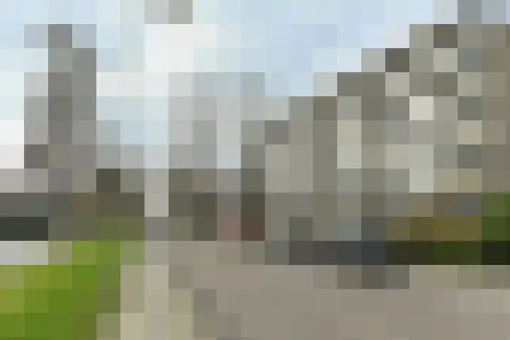 Zwanensingel 196 Velp thumbnail 7