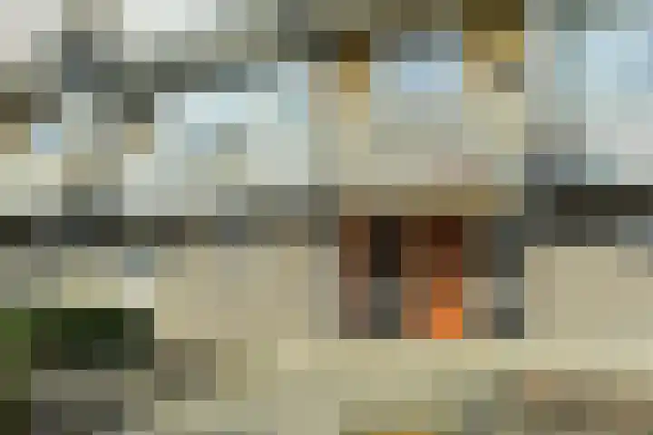 Zwanensingel 196 Velp thumbnail 8