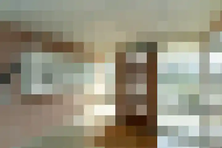 Zwanensingel 196 Velp thumbnail 9