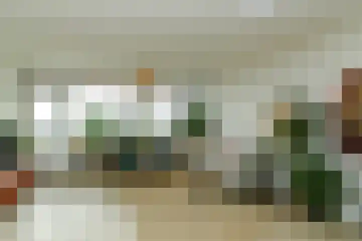 Zwanensingel 212 Velp thumbnail 13