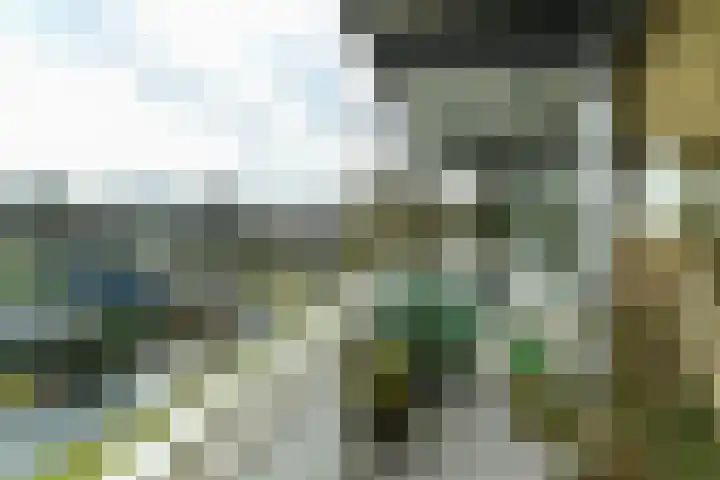 Zwanensingel 212 Velp thumbnail 18