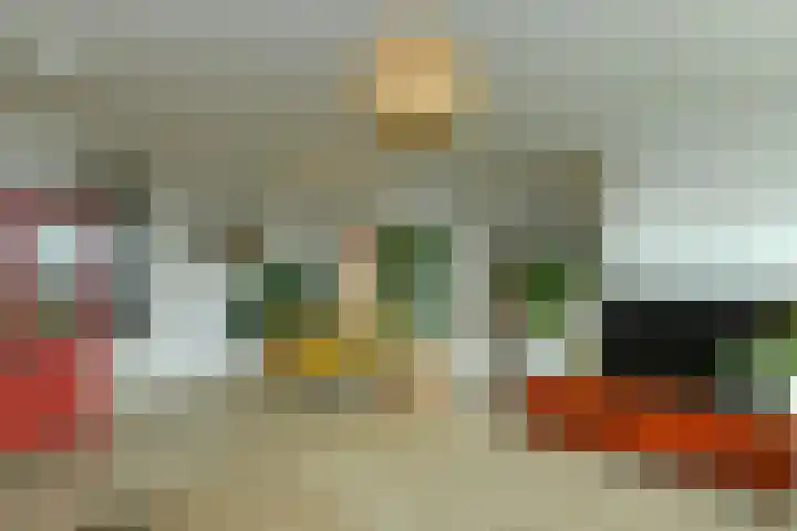 Zwanensingel 212 Velp thumbnail 20