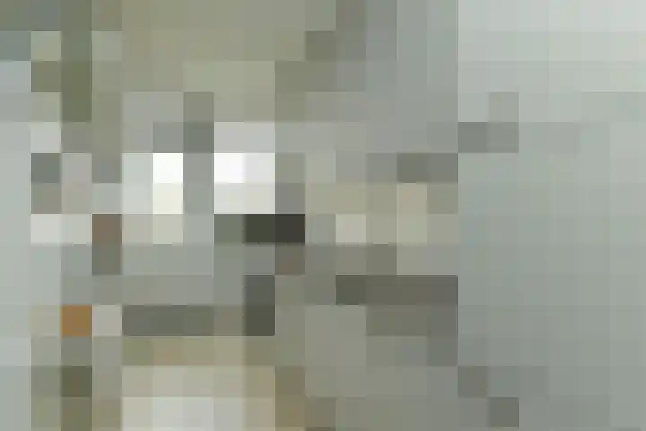 Zwanensingel 212 Velp thumbnail 23