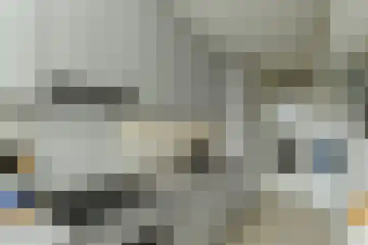 Zwanensingel 212 Velp thumbnail 24