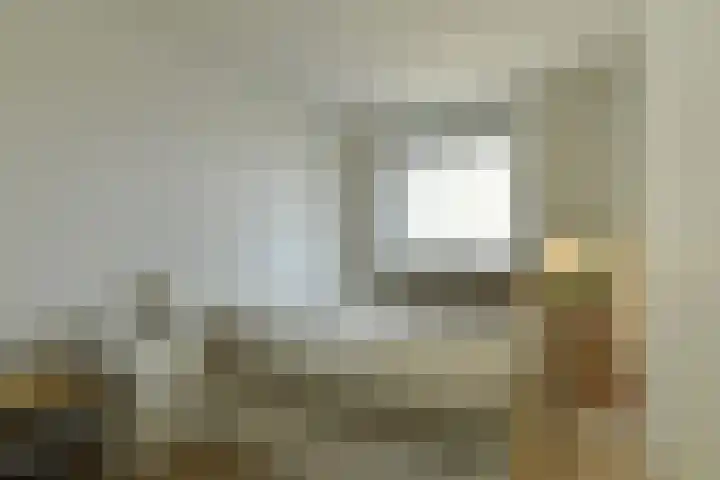 Zwanensingel 212 Velp thumbnail 27