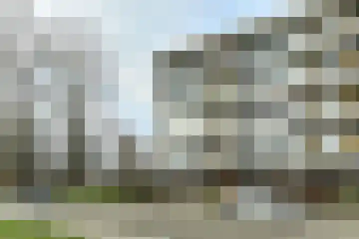 Zwanensingel 212 Velp thumbnail 31