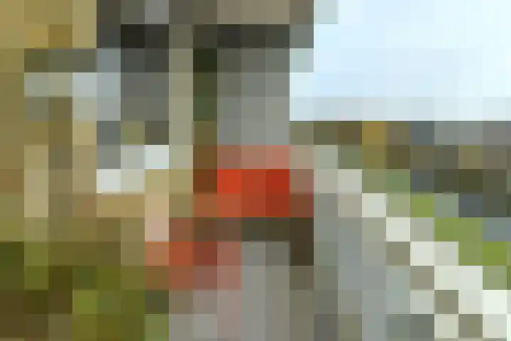 Zwanensingel 212 Velp thumbnail 5