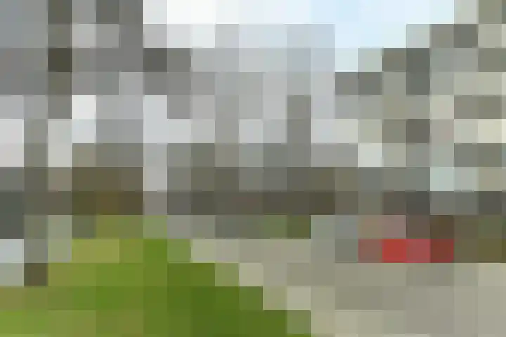 Zwanensingel 212 Velp thumbnail 7