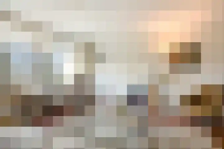 Zwanensingel 22 Velp thumbnail 13