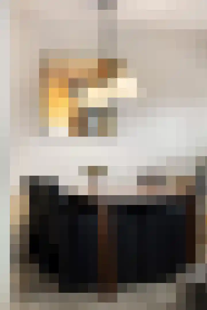 Zwanensingel 22 Velp thumbnail 17