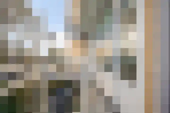 Zwanensingel 22 Velp thumbnail 22