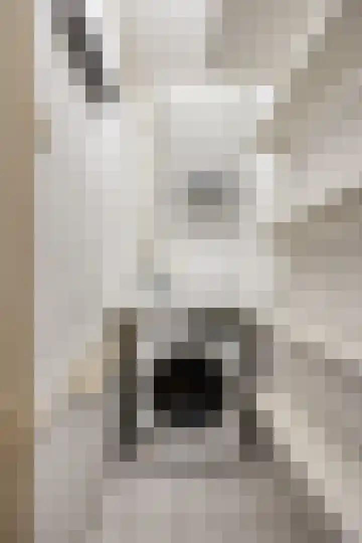 Zwanensingel 22 Velp thumbnail 23